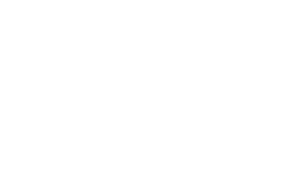 flymaster mono neg