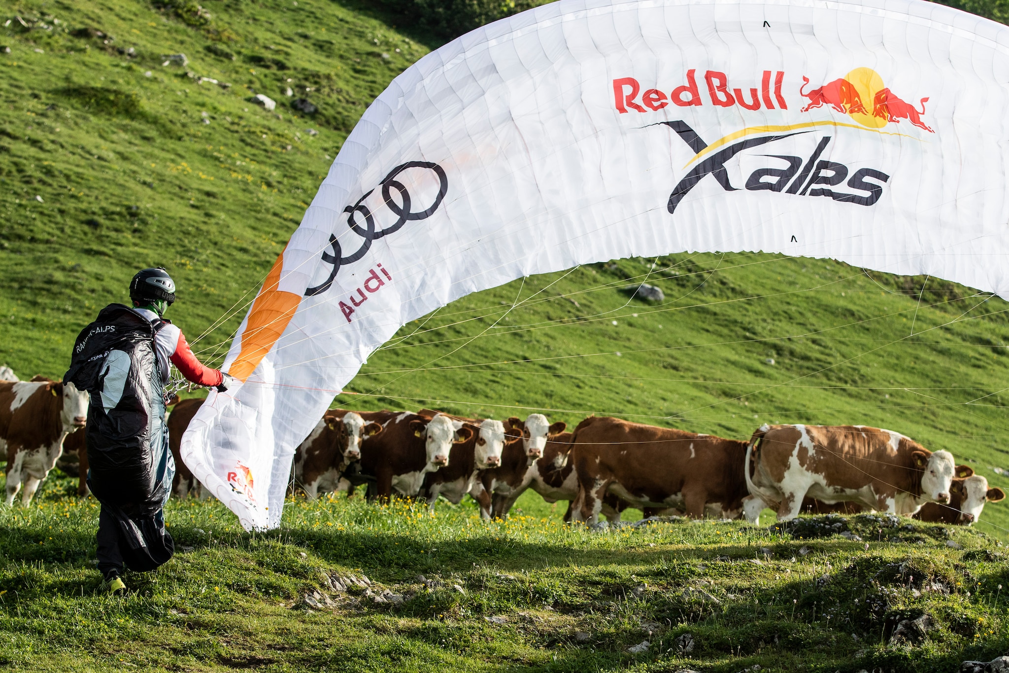 Tobias Grossrubatscher (ITA2) launches during the Red Bull X-Alps in Aschau im Chiemgau, Germany on June 17, 2019