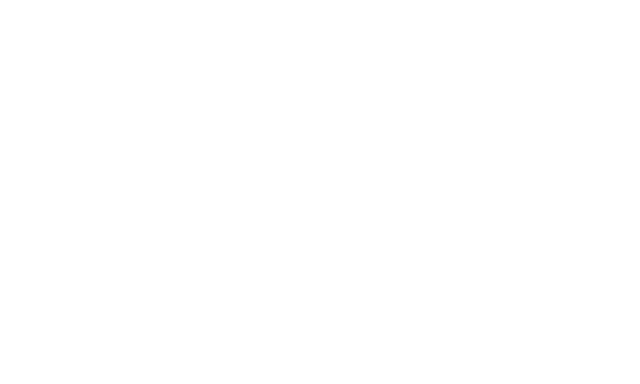 Bullitt mono neg
