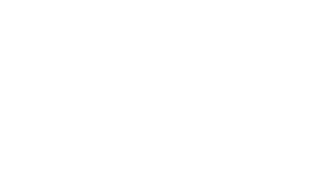 porchersport mono neg