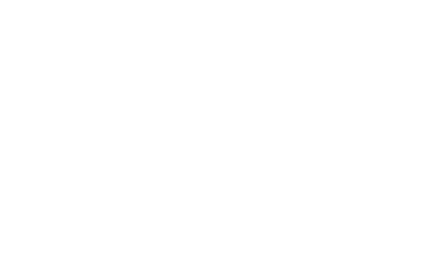 Salewa mono neg