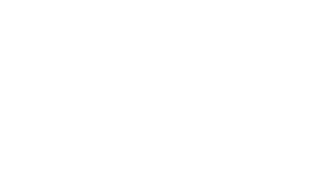 Sandisk mono neg